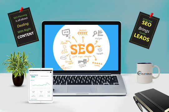 SEO Company in Delhi NCR