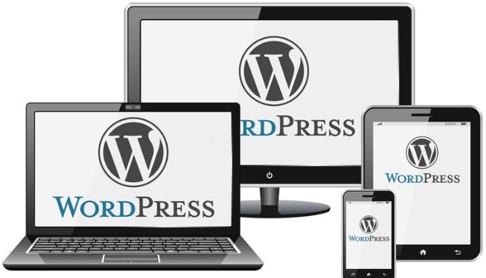 Best WordPress Website Design Services in Noida